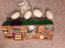 Dinosaur Toys Fossil Digging