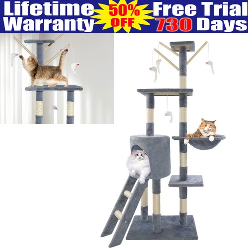 Large cat tree - tree, activity