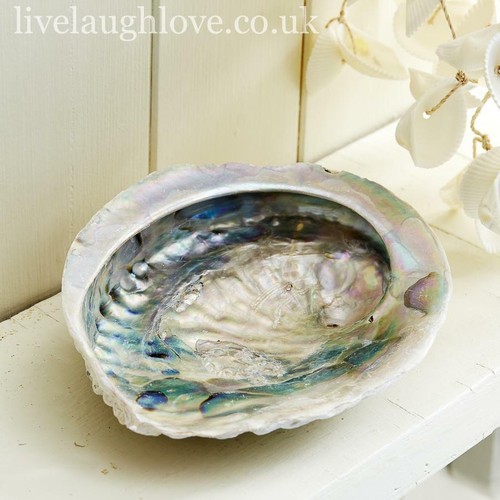 Abalone shell trinket soap - abalone, &