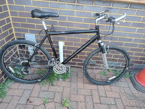 Raleigh mountain bike - mountain,