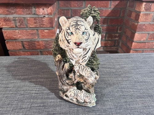 White tiger cubs - white,