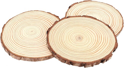 Unfinished wood slices 20pcs - unfinished, 5-20pcs