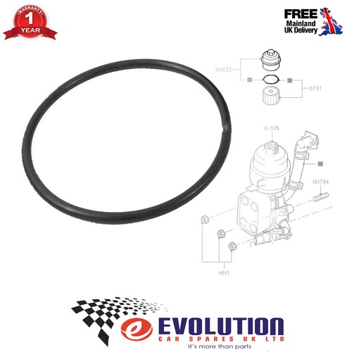 Oil filter housing cap gasket - oil,