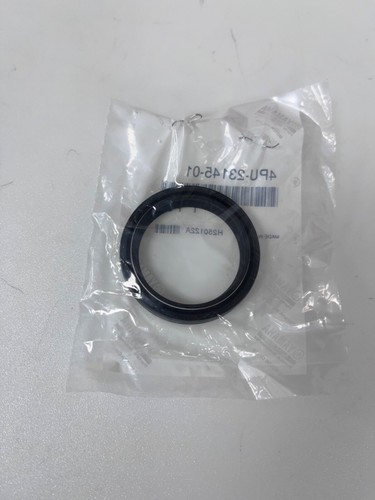 New genuine yamaha fjr1300 - genuine,
