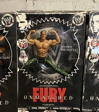 WWE Unmatched Fury HBK DX Gear
