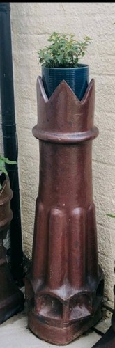 Genuine peytons champion - genuine,