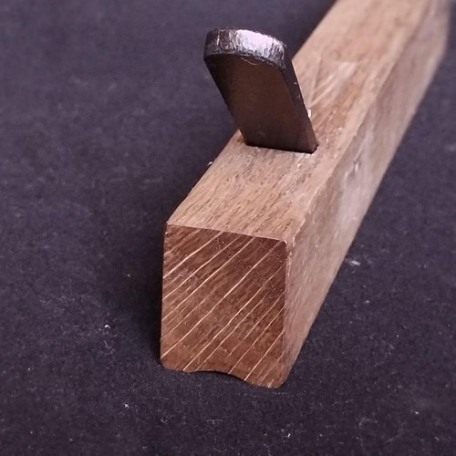 Japanese sotomaru kanna - kanna, round