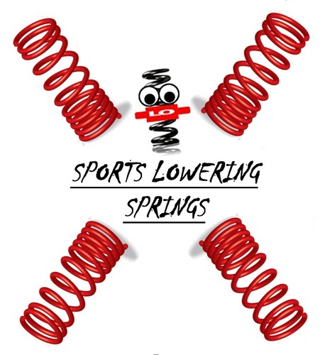 Lowering springs for - lowering,