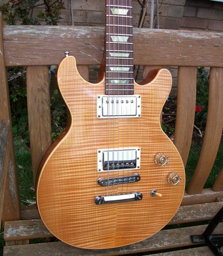 Gibson les paul pro - gibson,