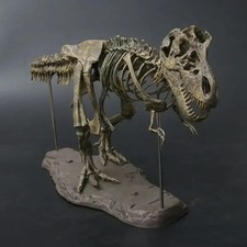 Large Diy Dinosaur Skeleton