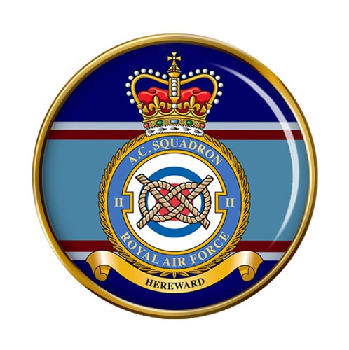 Squadron raf pin - raf, badge