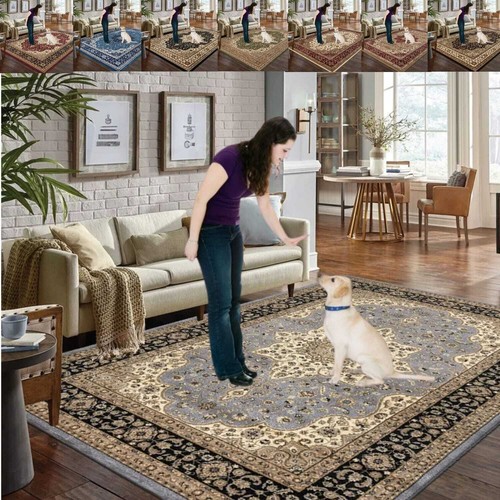 Traditional large rugs - traditional, living
