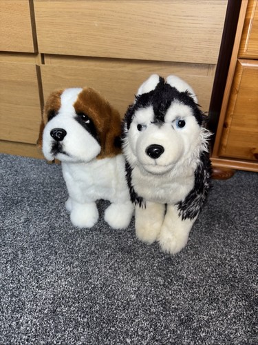 Husky and bernard dog - bernard, soft