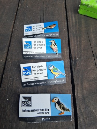 Rspb pin badges - 4,