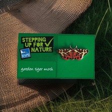 RSPB- Pin Badge GARDEN TIGER MOTH  on a SUFN Backing card
