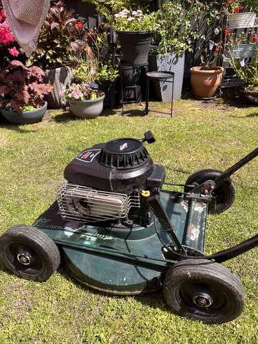 Hayter hayterette petrol rough - hayter,