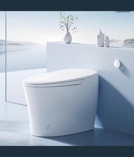 Ceramic smart toilet - wc,