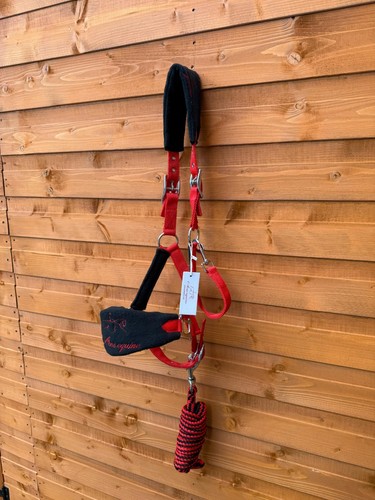 Nylon horse halter - nylon, headcollar