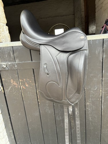 Harry dabbs ex platinum - 17”,