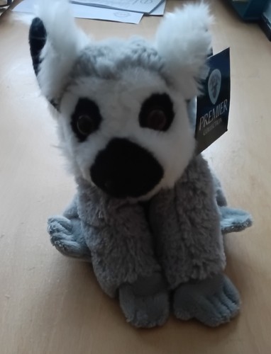 Ring tailed lemur ark - ring,