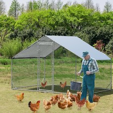 Large chicken run - chicken,