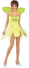 Tinkerbell Green Fairy Adult