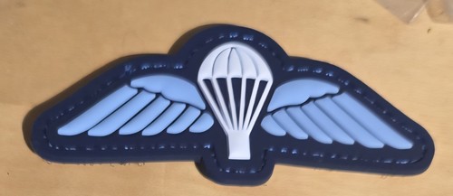 Squadron raf regiment - raf,