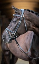 LeMieux Work Bridle Black/Brown - anatomic headpiece. padded brow, leather