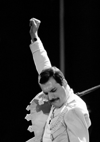 Freddie mercury queen british - freddie,