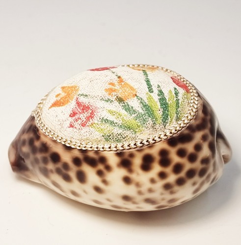 Pin cushion cowrie seashell - pin,