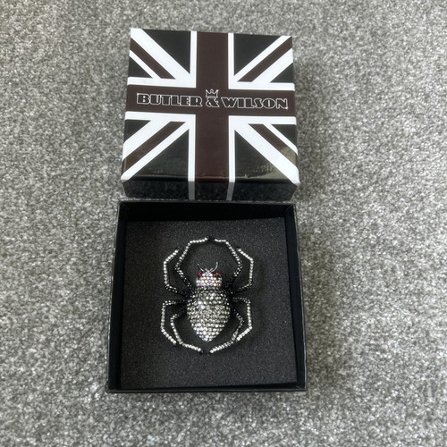 Butler wilson spider - butler,