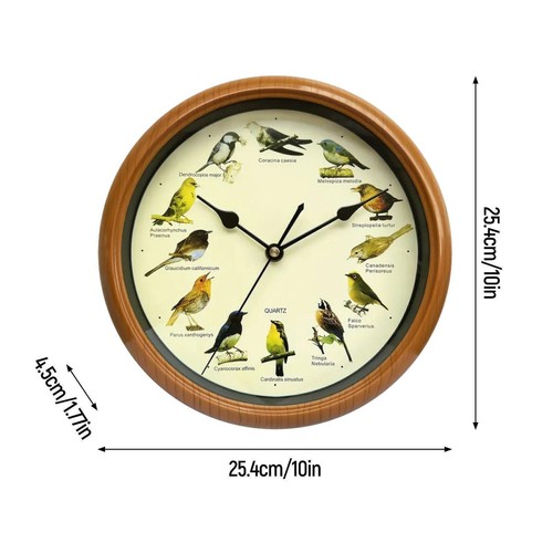 Singing bird hanging wall - singing,
