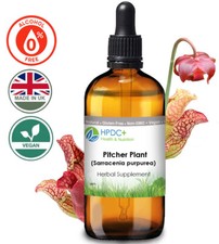 Pitcher Plant (Sarracenia