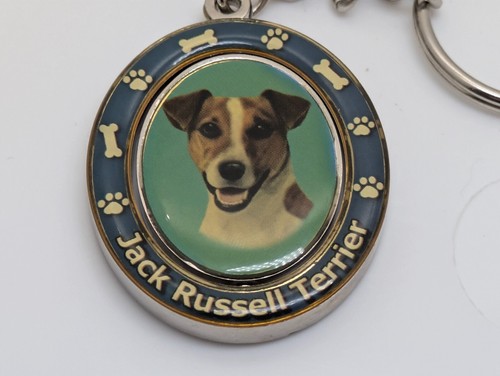 Jack russell terrier dog - russell,