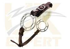 Uk Expert Best Eque Bitless