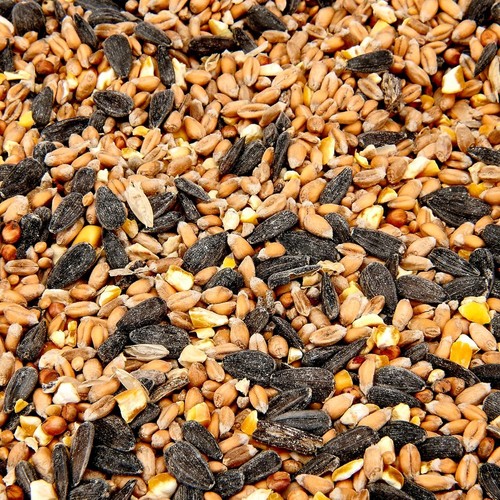 Wild bird food - seed, mix
