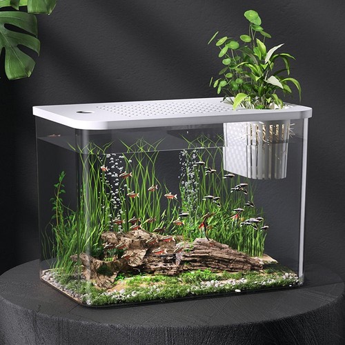 Pet abs desktop aquarium - desktop,