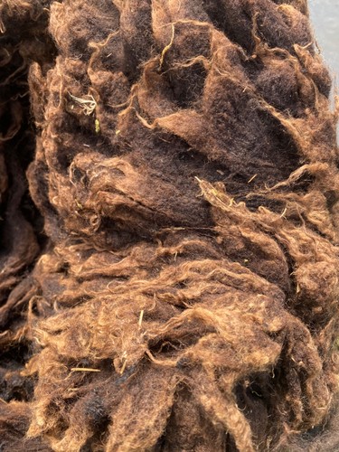 600g dark brown raw shetland - 600g,