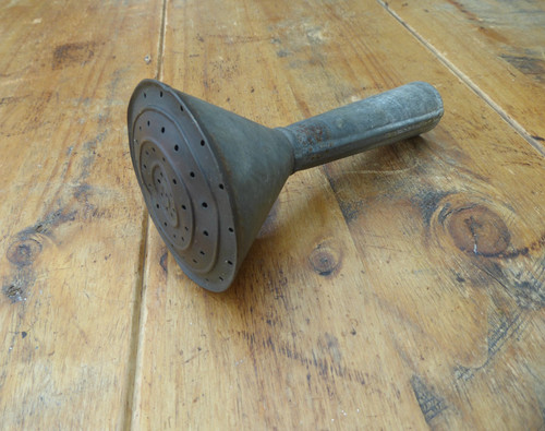 Vintage watering can - , rose