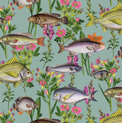 Holden lagoon fish animals - holden,