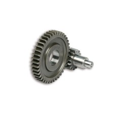 Secondary Gears Malossi HTQ