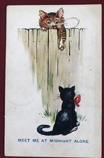 Tabby Cat in Monocle makes date with Black Lady Cat!