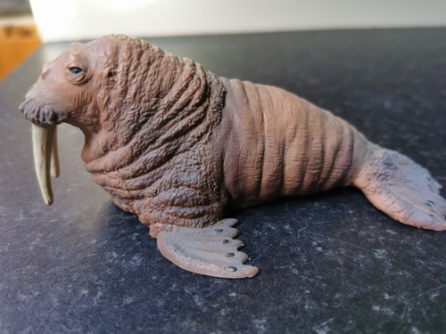 Schleich walrus retired - ,,