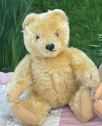 Beautiful old 1950s - old, steiff
