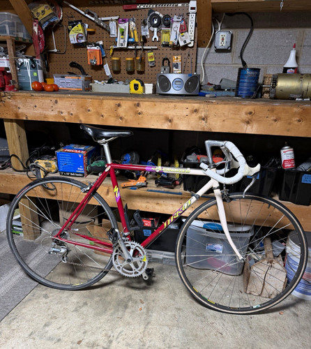 Vintage 1989 specialized - vintage,