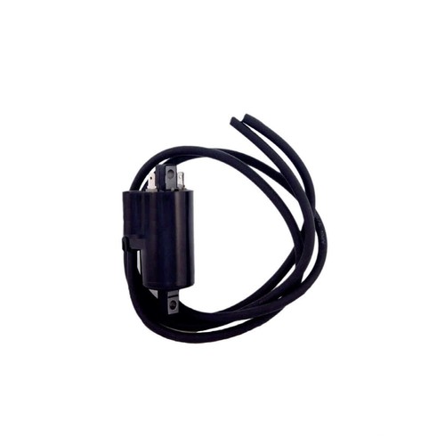 Ignition coil 12v 700 01 - ignition, 700.09.01