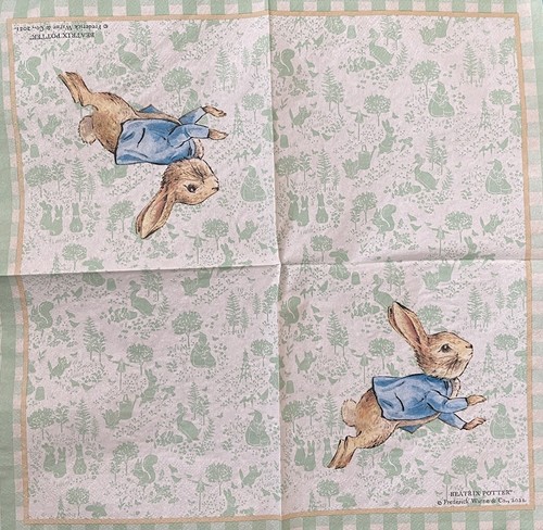 Peter rabbit single paper - 2,