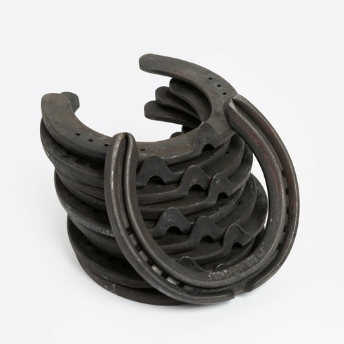 Horseshoe sizes buy - horseshoe, in