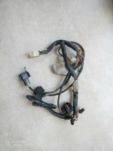 Main wiring harness - , loom