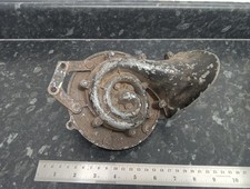 VINTAGE LUCAS  TRUMPET SNAIL